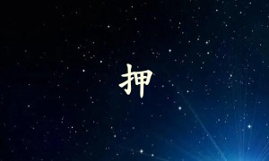 押字打一生肖（押字是什么生肖）