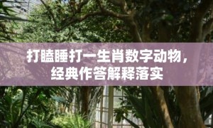 打瞌睡打一生肖数字动物，经典作答解释落实