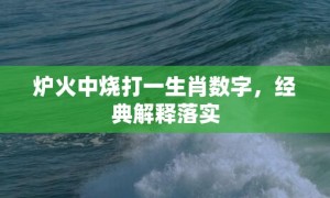 炉火中烧打一生肖数字，经典解释落实