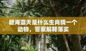 碧海蓝天是什么生肖猜一个动物，答案解释落实