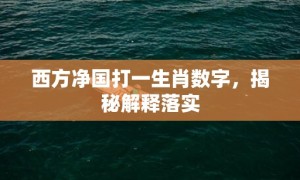 西方净国打一生肖数字，揭秘解释落实