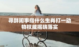 寻衅闹事指什么生肖打一动物权威揭晓落实