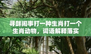 寻衅闹事打一种生肖打一个生肖动物，词语解释落实