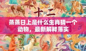 蒸蒸日上是什么生肖猜一个动物，最新解释落实