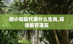 胆小如鼠代表什么生肖,词语解答落实