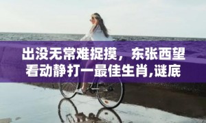 出没无常难捉摸，东张西望看动静打一最佳生肖,谜底解释落实