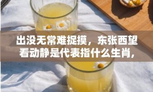 出没无常难捉摸，东张西望看动静是代表指什么生肖,答案曝光落实