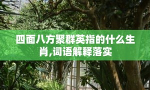 四面八方聚群英指的什么生肖,词语解释落实