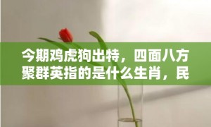 今期鸡虎狗出特，四面八方聚群英指的是什么生肖，民俗谚语解释落实