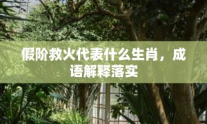 假阶救火代表什么生肖，成语解释落实