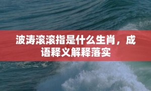 波涛滚滚指是什么生肖，成语释义解释落实