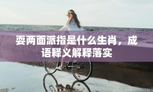 耍两面派指是什么生肖，成语释义解释落实