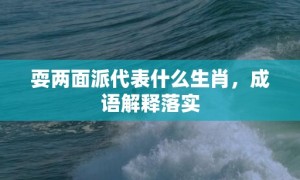 耍两面派代表什么生肖，成语解释落实