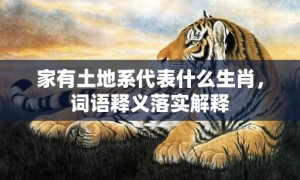 家有土地系代表什么生肖，词语释义落实解释