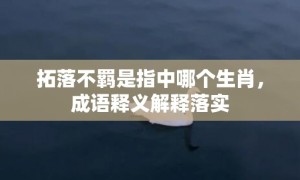 拓落不羁是指中哪个生肖，成语释义解释落实