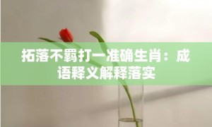 拓落不羁打一准确生肖：成语释义解释落实