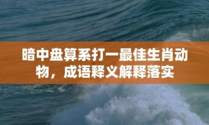 暗中盘算系打一最佳生肖动物，成语释义解释落实