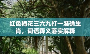 红色梅花三六九打一准确生肖，词语释义落实解释