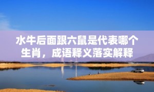 水牛后面跟六鼠是代表哪个生肖，成语释义落实解释