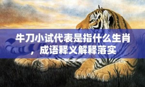 牛刀小试代表是指什么生肖，成语释义解释落实