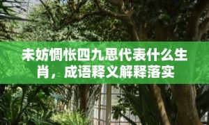 未妨惆怅四九思代表什么生肖，成语释义解释落实