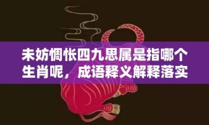 未妨惆怅四九思属是指哪个生肖呢，成语释义解释落实