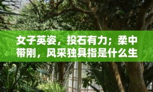 女子英姿，投石有力；柔中带刚，风采独具指是什么生肖，成语落实释义解释