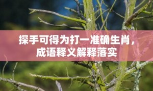 探手可得为打一准确生肖，成语释义解释落实