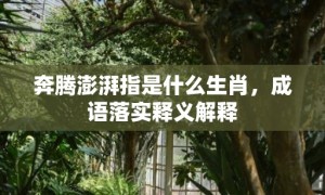 奔腾澎湃指是什么生肖，成语落实释义解释