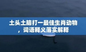 土头土脑打一最佳生肖动物，词语释义落实解释