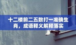 十二楼前二五数打一准确生肖，成语释义解释落实