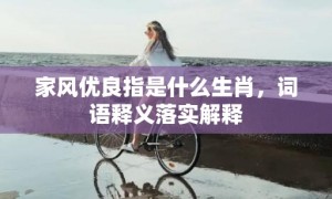 家风优良指是什么生肖，词语释义落实解释