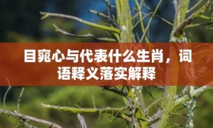 目窕心与代表什么生肖，词语释义落实解释