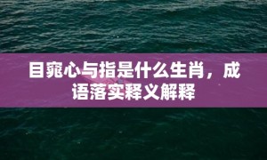 目窕心与指是什么生肖，成语落实释义解释