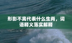 形影不离代表什么生肖，词语释义落实解释