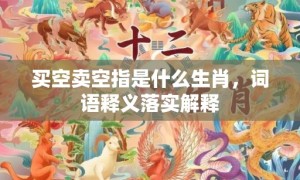 买空卖空指是什么生肖，词语释义落实解释