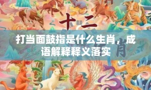 打当面鼓指是什么生肖，成语解释释义落实