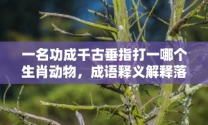 一名功成千古垂指打一哪个生肖动物，成语释义解释落实