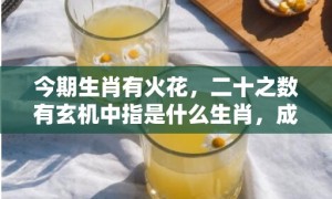 今期生肖有火花，二十之数有玄机中指是什么生肖，成语释义解释落实