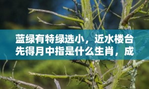 蓝绿有特绿选小，近水楼台先得月中指是什么生肖，成语释义解释落实