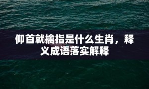 仰首就擒指是什么生肖，释义成语落实解释