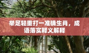 举足轻重打一准确生肖，成语落实释义解释