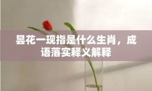 昙花一现指是什么生肖，成语落实释义解释