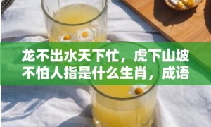 龙不出水天下忙，虎下山坡不怕人指是什么生肖，成语解释落实释义