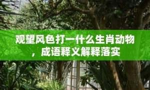 观望风色打一什么生肖动物，成语释义解释落实