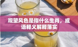 观望风色是指什么生肖，成语释义解释落实