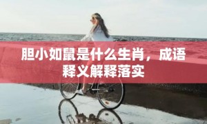 胆小如鼠是什么生肖，成语释义解释落实