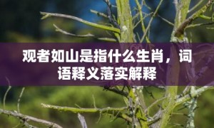 观者如山是指什么生肖，词语释义落实解释