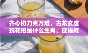 齐心协力克万难，古龙玄虚玩花招是什么生肖，成语释义解释落实