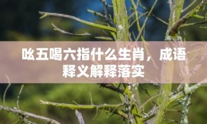 吆五喝六指什么生肖，成语释义解释落实